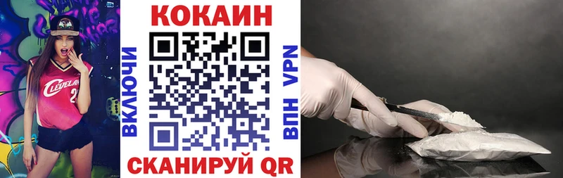 Купить Ефремов COCAIN Fish Scale