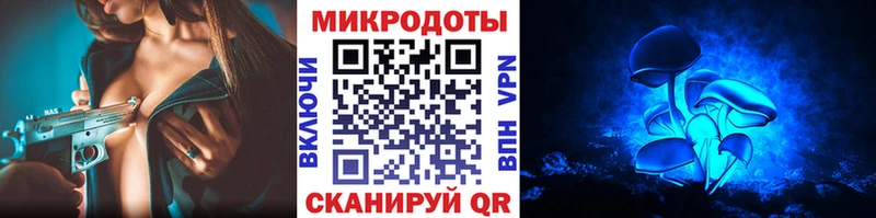 Купить закладки  Ефремов  Псилоцибиновые грибы ЛСД 